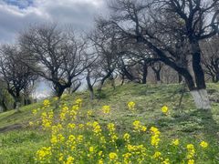 -福州大学(旗山校区)