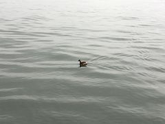 -浙江省博物馆(孤山馆区)