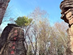 -汤旺河林海奇石景区