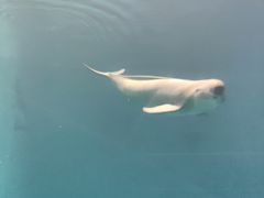 -蓬莱欧乐堡海洋极地世界