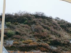-墨石公园景区