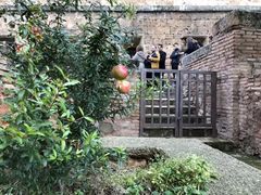 -阿尔罕布拉宫