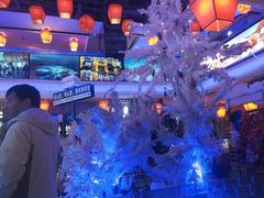 -山河屯铁锅炖鲜鹅·东北菜(开发区一店)