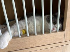 -谐和贝康宠物医院24小时·宠保定点(急重症转诊中心)