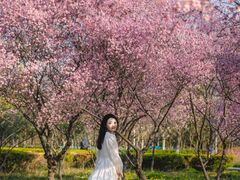 -白塘生态植物园