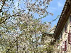 -武汉大学-樱园