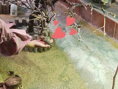 -萌宠奇缘