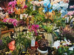 -宝鸡东道花鸟鱼虫市场(吉利花园商场店)