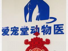 -瑞鹏宠物医院·爱宠堂·骨外专科(西荷分院)