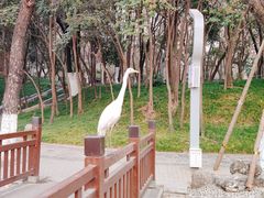 -西安市长乐公园