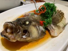 清蒸龙胆斑-凯逸轩·匠心粤菜(中城名仕汇店)