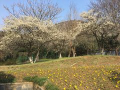 -宝岩生态观光园
