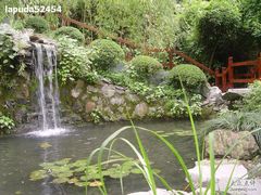 -十八棵（老龙井）御茶园(老龙井店)