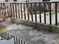 -保定市动物园
