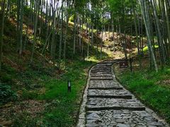 -西湖风景区十里琅珰-五云山