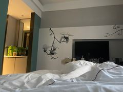 -白玉兰酒店(上海田子坊马当路地铁站店)