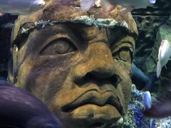 -成都浩海立方海洋公园