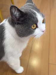 -ChuLian初莲日式美甲美睫