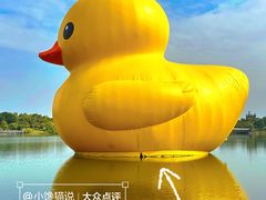 -深圳人才公园