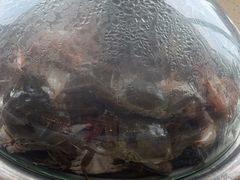 -港畔赶海蒸汽海鲜烧烤自助(仙螺岛店)