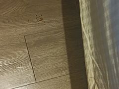 -三承堂经络·艾灸养生馆