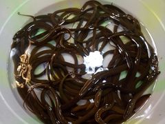 -铜元老码头鳝鱼火锅