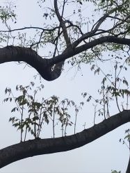 -玄武湖景区-情侣园游乐场