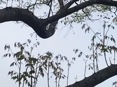 -玄武湖景区-情侣园游乐场