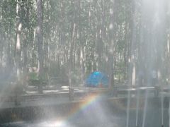 -合肥滨湖国家森林公园