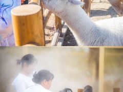 -茅山东方盐湖城景区