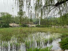 -滨河世纪广场公园