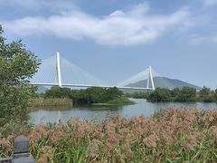 -芒洲湿地公园