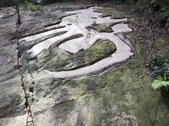 -大金鹰园