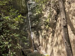 -大岭沟猕猴桃谷风景区