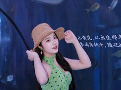 -重庆欢乐海底世界