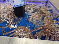 -盒马X会员店(上海森兰商都店)