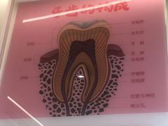 -佛山中大口腔医院·市二级口腔专科医院