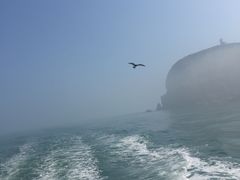 -海驴岛(荣成市)