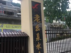 -老幺泉水鸡