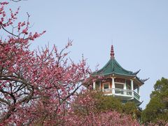 -无锡梅园公园