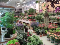 -双季花艺园艺市场(浦东店)
