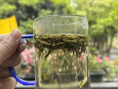 -阿巧茶庄