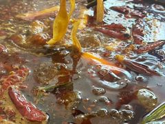 -黄潇洒老火锅(九眼桥宏济巷店)
