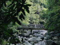 -大鄣山卧龙谷景区
