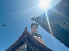 -张掖大佛寺景区