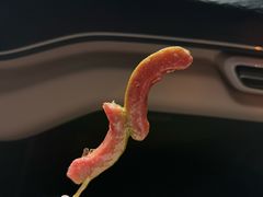 -山东大学(威海校区)