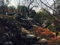 -楼观道温泉酒店