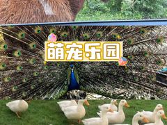 -上海山野camping·户外天幕烧烤·团建拓展营地