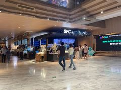 -SFC上影影城(港汇永华IMAX激光店)