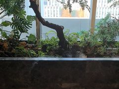 -海立阁海鲜江浙菜(漕河泾印象城店)